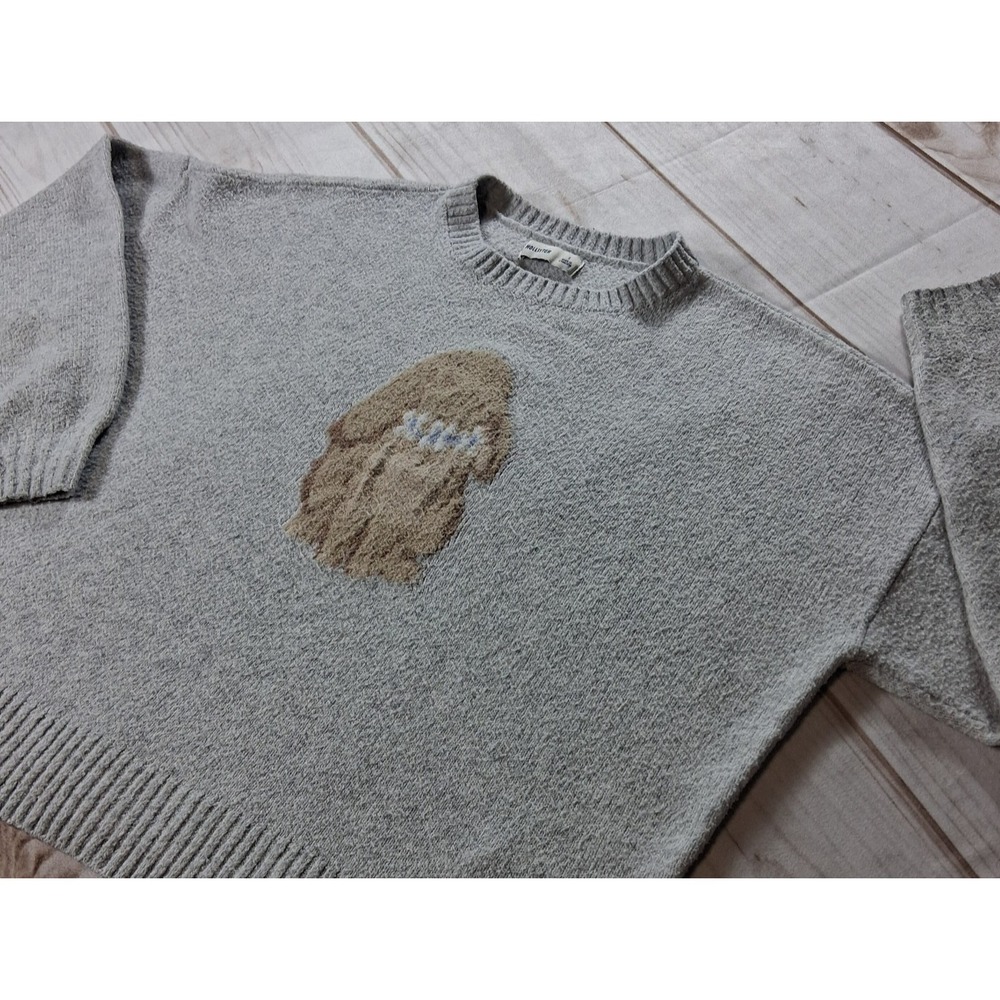 Hollister Chenille Graphic Sweater Womens Small Gray Crewneck Pullover Soft